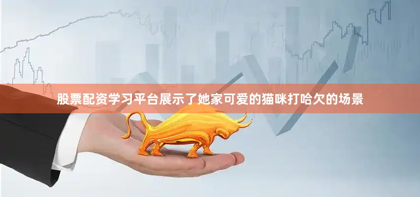 股票配资学习平台展示了她家可爱的猫咪打哈欠的场景
