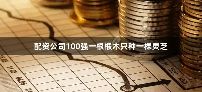 配资公司100强一根椴木只种一棵灵芝